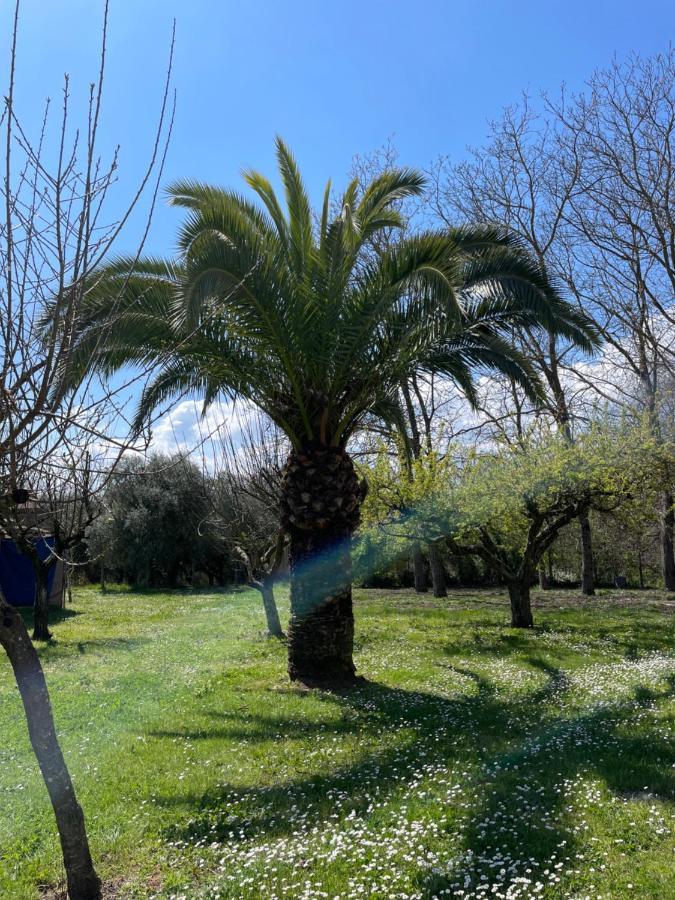 B & B Casal Pereto Valmontone Exterior foto